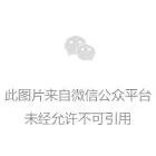 閱讀越讀越聰明-月芽閱讀